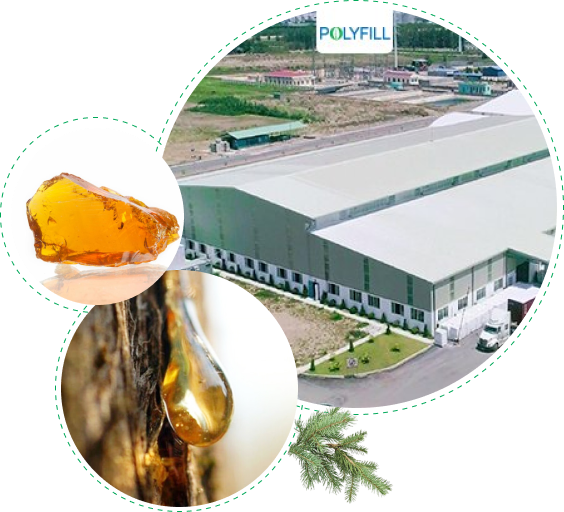 Vá» PolyFill YÃªn BÃ¡i