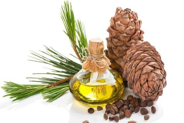 TÃ¡c dá»¥ng cá»§a tinh dáº§u thÃ´ng Ä‘á» vÃ  lá»£i Ã­ch Ä‘á»‘i vá»›i sá»©c khá»e