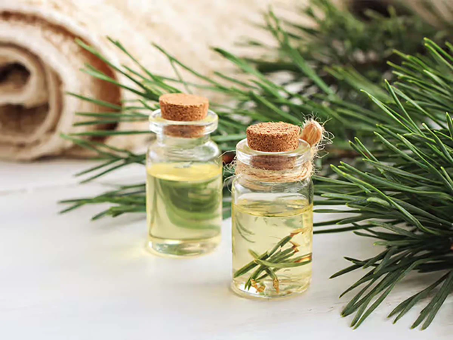 Turpentine Oil